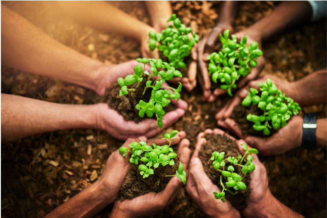 protect environment